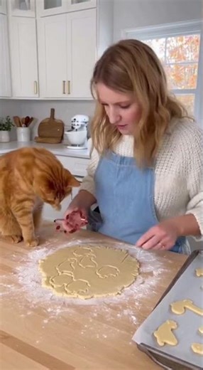 POV: You’re baking cookies, and your cat becomes the assistant chef. 🧑‍🍳🐈