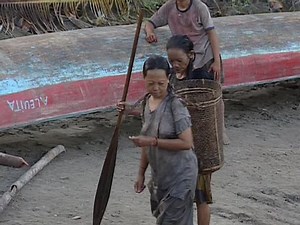 Siberut Island Sumatra Indonesia March 9 Stock Footage Video (100% Royalty-free) 5835632 | Shutterstock