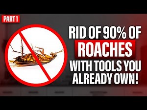 How to Get Rid of 90% of Roaches Using Tools You Already Own ! Part 1