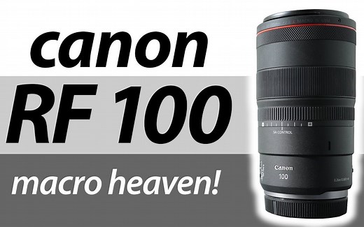 佳能 RF 100mm f2.8L 微距评测对比 EF 100mm f2.8L 微距