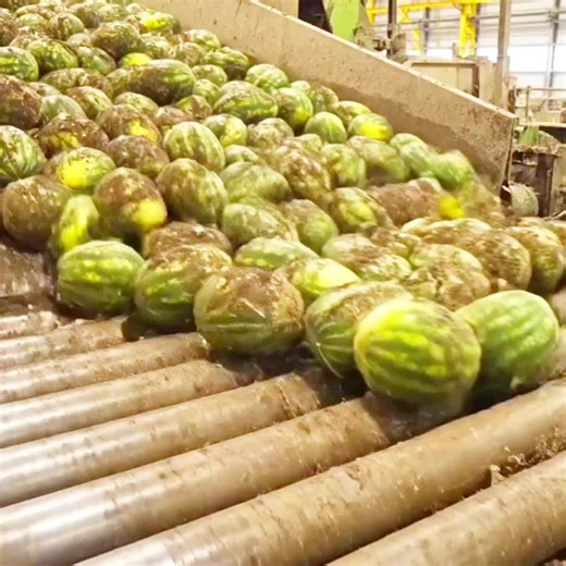 Inside a Food Factory: Production Process
