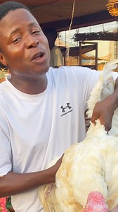 161K views · 2.4K reactions | La viande de dinde est une viande neutre. #viande #dinde | Agriculteurs Modernes | Facebook