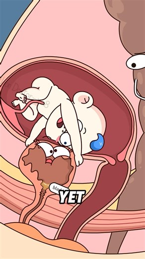 Why doesn't she have constipation during her pregnancy?#shorts