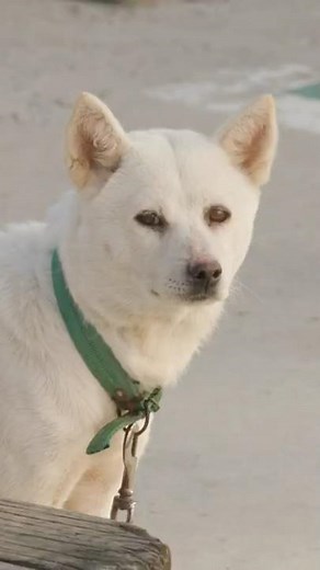 Common Denominator: Mighty | A Refreshing Commute with the New Mighty | Hyundai Motor Company