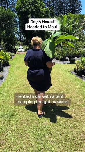 Maui is so different than the big Island #travel | Maui Hawaii