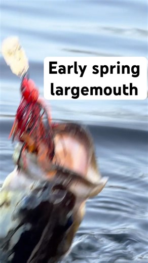 Nothing like the early spring largemouth bass #jesus #fishing #bassfishing #michigan