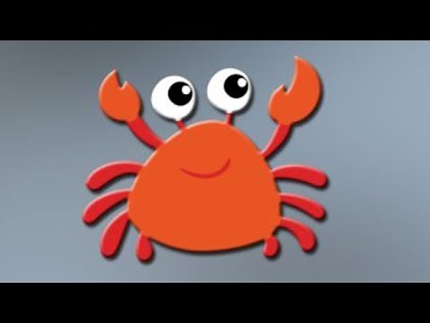 Beach Animals! Learn Beach Animals for Kids