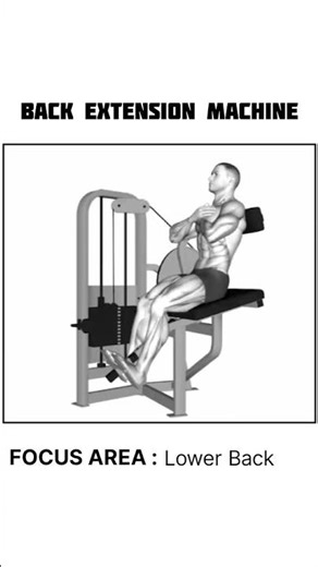 Back Extension Machine #lowerbackworkout