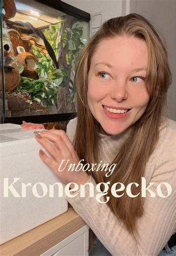 Ich bin so happy mit meinem kleinen Mädchen! #fyp #crestedgecko #reptile #unboxing #kronengecko