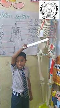 Skeletal System Explained by a Kid | Human Body for Kids | St John’s Public School