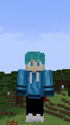 Un peu bizarre ça non ? #minecraft #minecrafthacks #minecraftcommands