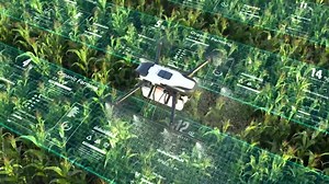 Drone in Cornfield with Organic Farming Data Overlays