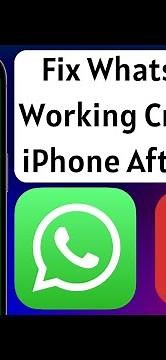 How to Fix WhatsApp Not Working Crashing on iPhone After Update