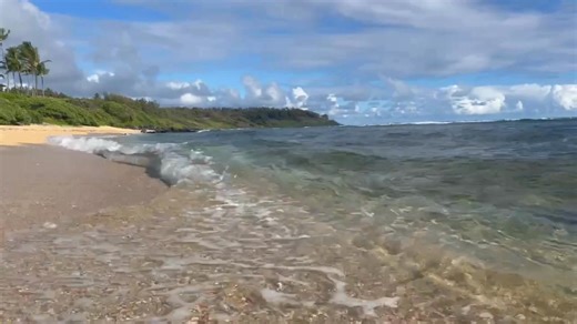 Happy Aloha Friday! 🌴 🥥 Here's to calm mornings, ocean breezes and that first sip of 100% Hawaiian Coffee. | Kauai Coffee Company