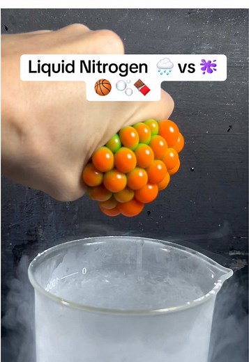 Exploring Liquid Nitrogen vs Everyday Objects