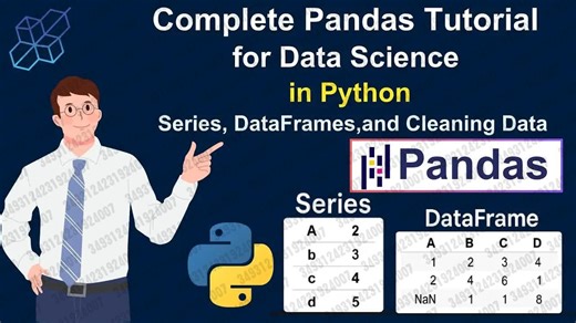 2025.07.21 【AI Sciences】完整的Python数据科学Pandas教程｜系列、DataFrames和清理数据