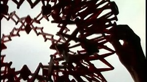 (2004) Baby Bach France 2005 DVD (American)