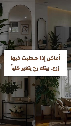 118K views · 911 reactions | Bring life and elegance to your space with the most stylish artificial trees in Egypt ✨ Enjoy a natural look without the maintenance! Exclusive designs by Mohamed Hosny Design — adding luxury and charm to every corner   Contact us now:  +201210634777  +201210634888 #ArtificialPlants #HomeDecor #MohamedHosnyDesign #ModernStyle #ExclusiveDesigns #DecorTrends #naturalvibes | Landscape Egy | Facebook