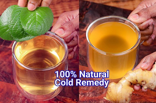 Ajwain Leaves Benefits & Uses | Doddapatre Kashaya Drink