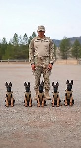 444K views · 8.6K reactions | This is how the U.S. military shapes...