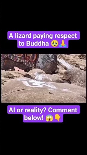 57. A lizard paying respect to Buddha 🥹🙏