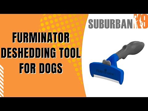 Dog Trainer Reviews: Furminator Deshedding Tool