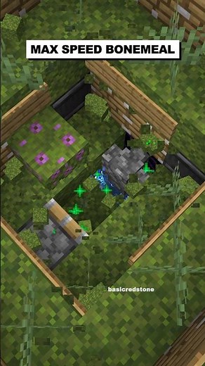Max Speed Bonemeal Farm | Donut SMP #shorts
