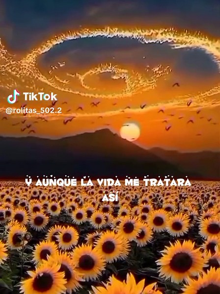 Lo único que quiero es tu felicidad - Shakira