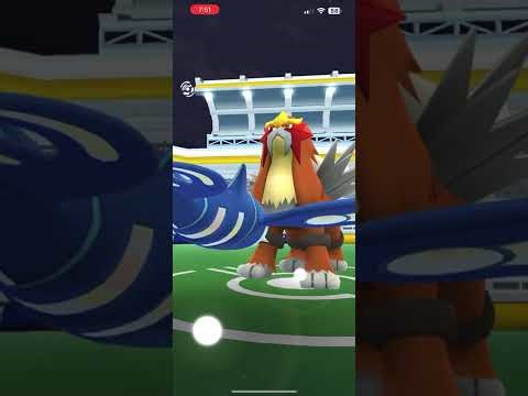 Entei Solo 🗡️, Rainy, Fire Fang/Flamethrower, Primal Kyogre + 1 Shadow Kyogre