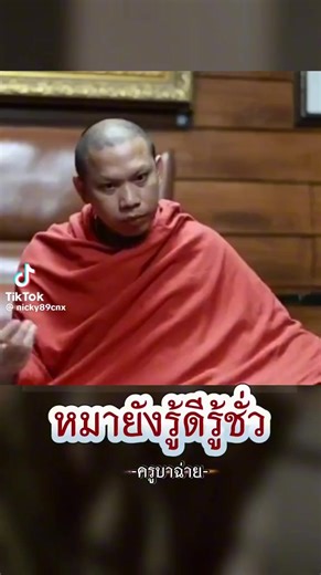 วิดีโอของ Df Df (@df.df6476) พร้อมเพลง เสียงต้นฉบับ - Df Df