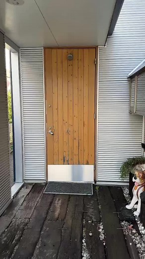 Sigma boy#yzfr1 #yamaha #R1 #yzfr1s #japan #sigma