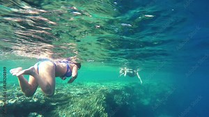 Underwater world of the ocean. Coral reef and female tourist vacationer swim in clear Red sea water.