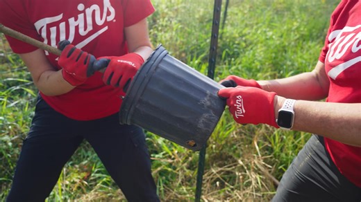23K views · 121 reactions | Today is #GreenSportsDay! We teamed up with Uponor North America to kick off our multiyear ecosystem restoration initiative with nonprofit partner Great River Greening. Twins and GF volunteers worked together to plant shrubs that will prevent erosion and increase biodiversity around Minnesota's waterways. | Minnesota Twins | Facebook