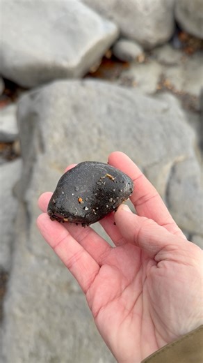 This is an ichthyosaur vertebrae from at least 90 million years ago. This is half of a full vertebrae so you can clearly see the bow tie design where it has split. #fossil #fossils #fossilhunter #fossilfinds #dinosaurs | Recycle the Sea