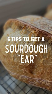 46K views · 113 reactions | Here’s what it takes to get a sourdough...