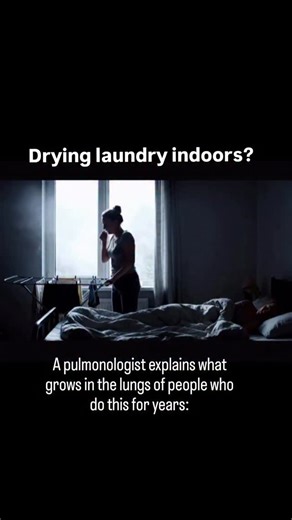 Mykola Kobzar on Instagram: "1. Humidity rises far above normal When laundry dries indoors, room humidity can increase by up to 30% above normal. At this level, mold spores begin to multiply rapidly — on walls, in corners, and inside ventilation systems. You can’t see them. But they’re there. And with every breath, microscopic fungal spores enter your airways. 2. Aspergillus is not a textbook horror story Aspergillus is a real fungus that can settle in the lungs. It is often found in people who