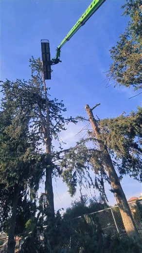 Watch TC Technitio Ltd’s Merlo Roto with Manbasket in action in Nicosia, assisting in the cutting of dangerous tall trees positioned directly above electricity cables and residential houses. A task where precision and safety are non-negotiable. The Merlo Roto blends the agility of a forklift with the reach of a crane, delivering absolute control in high-risk environments. ✔️ Millimetric precision around cables and rooftops ✔️ Safe elevated access with certified manbasket ✔️ Exceptional high-reac