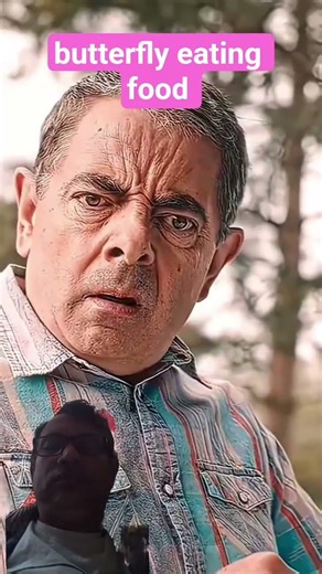 butterfly eating food #movie #funny #comedyfilms #comedy #cute #cartoon #fun #cat