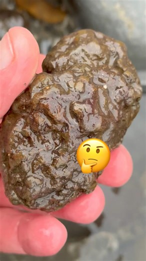 Lyme Regis Beach Surprises⁉️#beachfinds #fossilhunter#rockhounding