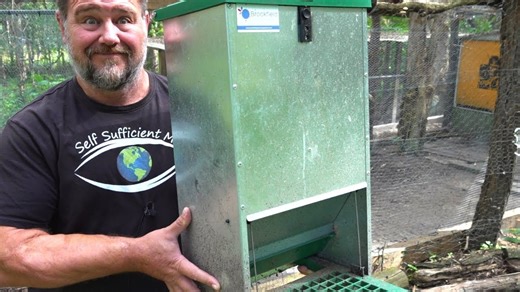 Feed-O-Matic chicken feeder review: Does it really keep rats out?