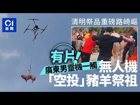 【01秒看新聞】清明節│祭品份量太大！廣東男用無人機吊活豬羊上山孝敬祖先｜01新聞｜清明節｜無人機｜祭品｜活豬｜科技