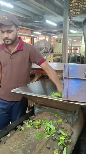 Kavi Samarawickrama on TikTok