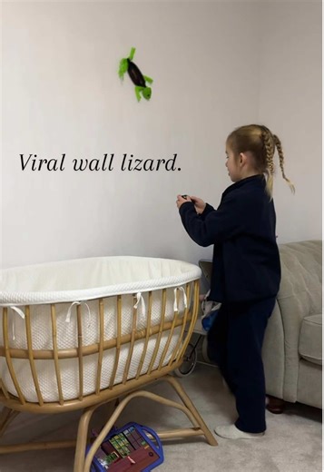 The viral wall walking lizard Great for fun for the kids 🦎 #fyp #tiktokshop #lizard