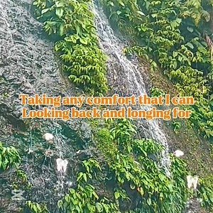 3.7K views · 60 reactions | LOVING ARMS with Lyrics Cover by Selina Joycee #lovingarms | Mel Anie | Facebook