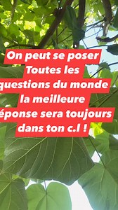 Réponse universelle #humour #finesse | Un Tee Shirt à la con