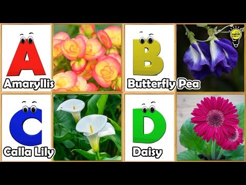 Flowers Alphabet Song | Flowers ABC Song | A to Z Flowers Names | Phonics for Kids