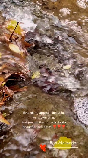 Message to the spiritual #haters #pastors learn to reflect on your yall actions on why y'all didn't help before #judging me | Rodrick Alexander | Facebook