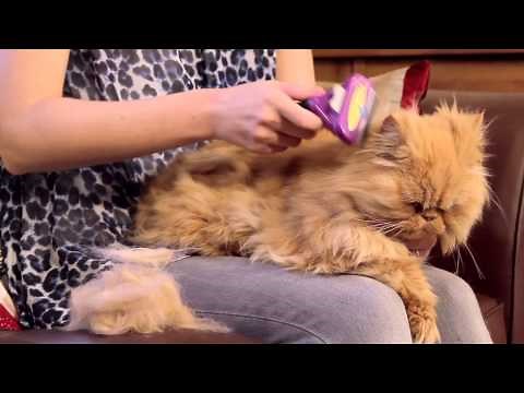 FURminator for Cats Video