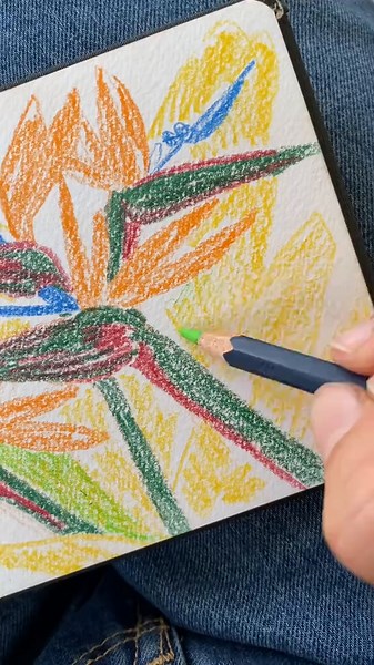 Back from Mpumalanga, where the strelitzias grow wild. Loved sketching this one with my travel watercolour pencils—until a rain cloud rolled in and made the colours run! Thankfully, I had a little helper for moral support 😉🐾 #capetownart #drawing #sketchbookart #strelitzia #garden