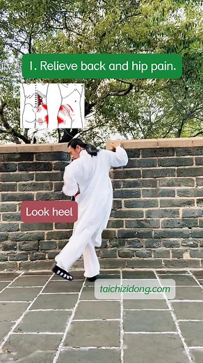 12K views · 685 reactions | https://taichizidong.com Specific...